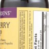 Elderberry Honey Syrup