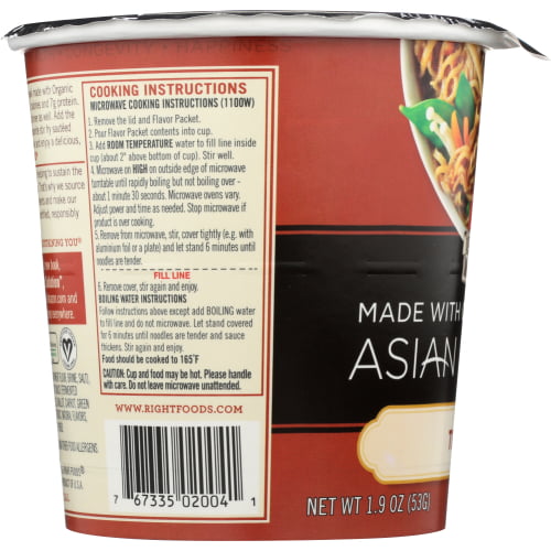 Teriyaki Asian Noodles