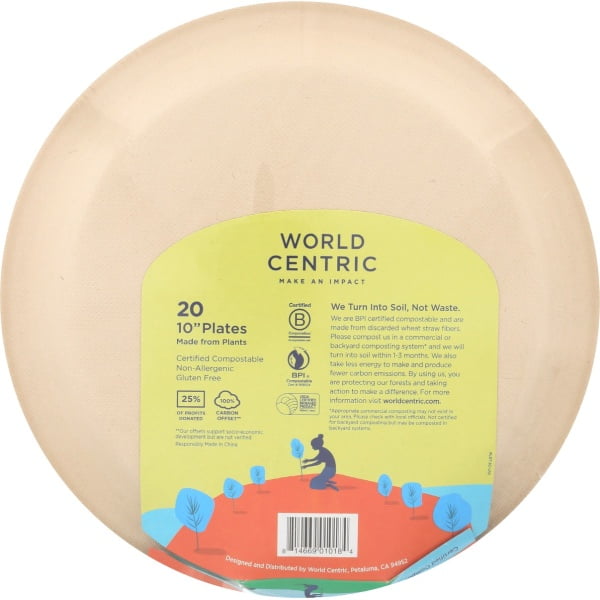 Compostable Plate 10 Inches