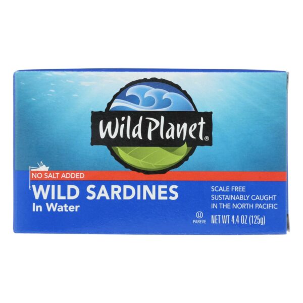 Wild Sardines In Water
