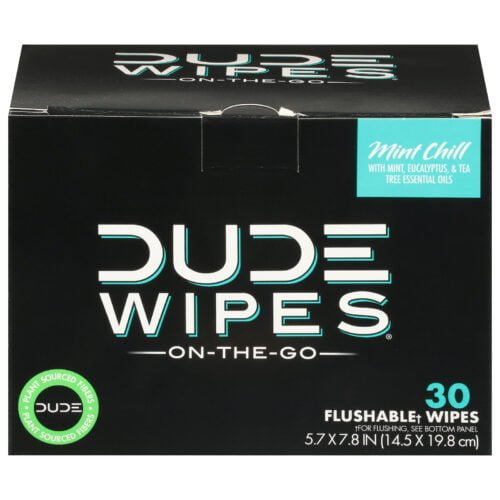 dude wipes mint chill